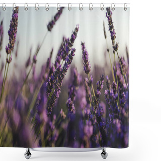 Personality  Purple Shower Curtains