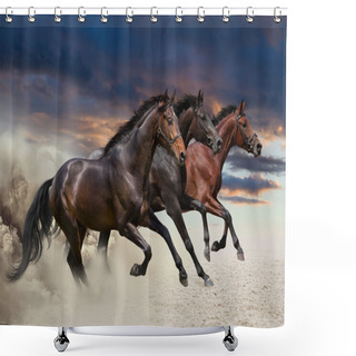 Personality  Three Horses Running At A Gallop Shower Curtains