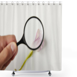 Personality  Close-up View Of Person Looking Through Magnifying Glass At Tender Pink Flower On Grey Shower Curtains