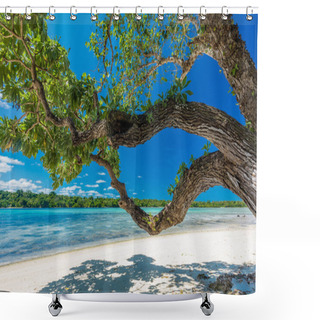 Personality  Palm Trees On A Tropical Beach, Vanuatu, Erakor Island, Efate Shower Curtains