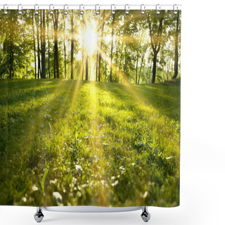 Personality  Sunlight In The Green Forest Shower Curtains