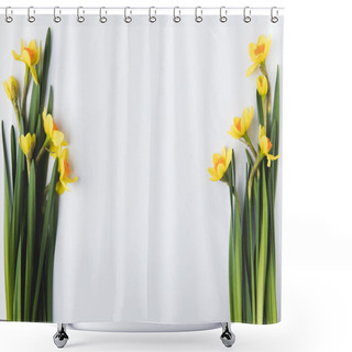 Personality  Beautiful Blooming Yellow Daffodils Isolated On Grey  Shower Curtains