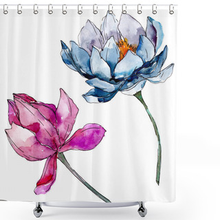 Personality  Lotus Floral Botanical Flowers. Background Illustration Set. Isolated Nelumbo Illustration Element. Shower Curtains