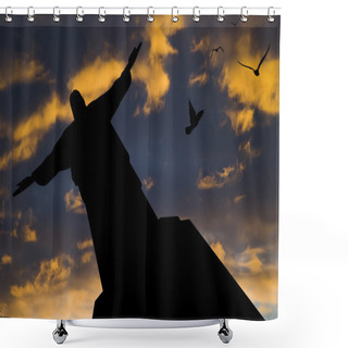 Personality  Statue In Rio De Janeiro Shower Curtains