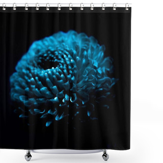 Personality  One Beautiful Turquoise Flower Isolated On Black Shower Curtains