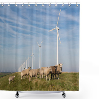 Personality  Long Row Dutch Wind Turbines With Herd Of Sheep In Front Shower Curtains