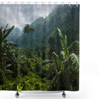 Personality  Trees With Grass In Tropical Jungle Shower Curtains