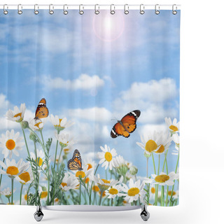 Personality  Beautiful Chamomile Flowers Outdoors On Sunny Day. Springtime  Shower Curtains
