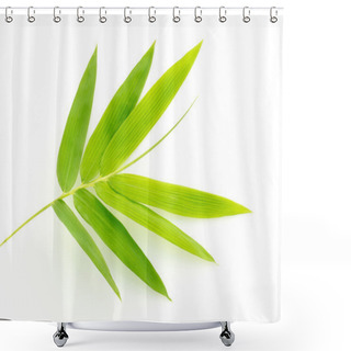 Personality  Fresh Bamboo Leaves Border Isolated On White Background, Botanic Shower Curtains