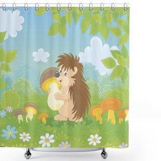 Personality  Friendly Smiling Spiny Hedgehog Holding A Big Mushroom On A Green Glade Of A Forest, Vector Illustration In A Cartoon Style Shower Curtains