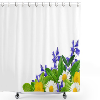 Personality  Daisies, Blue And Yellow Wild Flowers And Green Leaves Shower Curtains