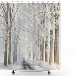 Personality  Winter Country Road Among Frosted Trees Shower Curtains