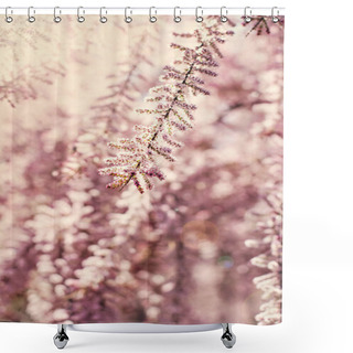 Personality  Small Pink Flowers On A Bush Branch. Spring Background.  Blooming Garden. A Branch Of A Bush With Pink Small Flowers. Spring Came. Nature Background Shower Curtains