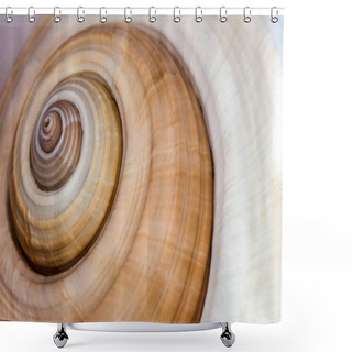 Personality  Close Up Of A Seashell With Spiral Details Shower Curtains