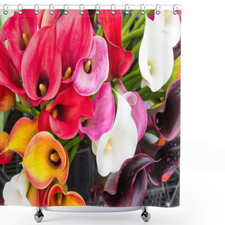Personality  Bright Flowering Calla Lily Blooms Shower Curtains
