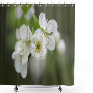 Personality  Spring Flower, Close Up Flora Image Shower Curtains