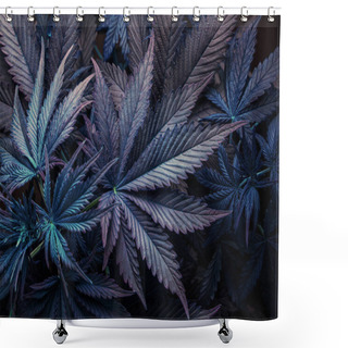 Personality  Purple Leaf Marijuana Or Cannabis Plant Background, Wallpaper Or Legalize Shower Curtains