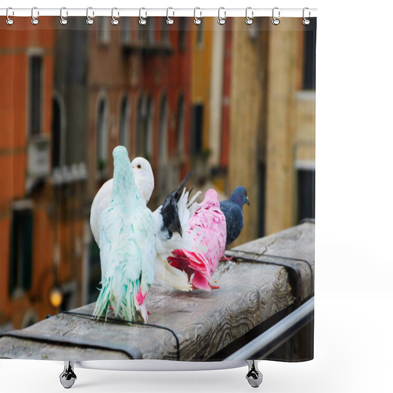 Personality  Four Colorful Pigeons On Bridge Shower Curtains