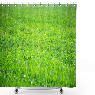 Personality  Grass Background Shower Curtains