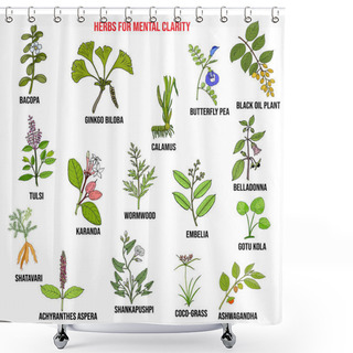 Personality  Best Herbs For Mental Clarity Shower Curtains