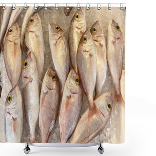 Personality  Chilled Fish On Ice. Red Dorado Sea Fish On The Counter Of A Fishmonger In Greece. Fish On Ice,close-up. An Assortment Of Several Whole Raw.  Mediterranean Kitchen. Seafood. Cooking And Healthy Eating Shower Curtains