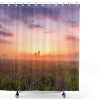 Personality  Twilight On A Field Covered With Flowering Lupines In Spring Or Early Summer Season With Fog, Cloudy Sky And Trees On A Background In Morning. Landscape. Shower Curtains