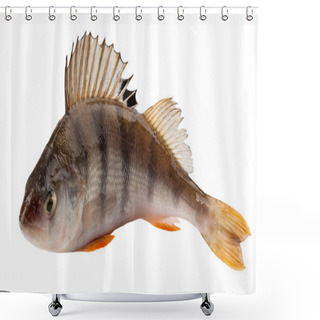 Personality  Perch Shower Curtains