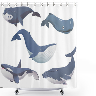 Personality  Big Set Cartoon Whales Shower Curtains