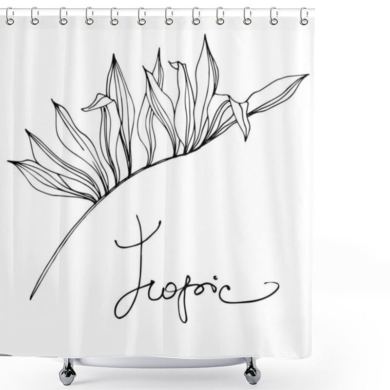 Personality  Palm Beach Tree Leaves Jungle Botanical Succulent. Black And White Engraved Ink Art. Isolated Leaf Illustration Element. Shower Curtains