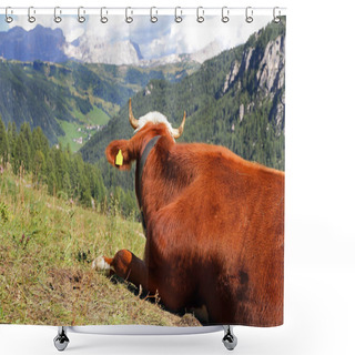 Personality  A Simmental Beef Enjoys The View In The Mountains Shower Curtains