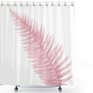 Personality  Fern Leaf In Pale Pink Colors. Watercolor Illustration Isolated On White Background.  Shower Curtains
