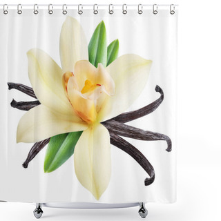 Personality  Dried Vanilla Sticks And Orchid Vanilla Flower. File Contains Cl Shower Curtains