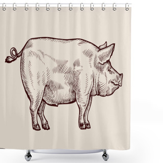 Personality  Sketch Pig. Hand-drawn Vector Illustration Shower Curtains