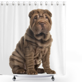 Personality  Sharpei Sitting In Front Of A White Background Shower Curtains