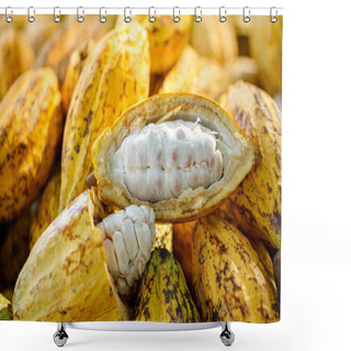 Personality  Cocoa Beans And Cocoa Pod On A Wooden Surface. Shower Curtains