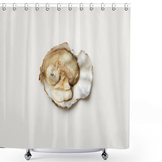 Personality  Open Fresh Oyster Clam Isolated On White Shower Curtains