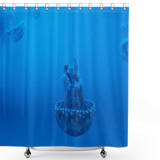 Personality  Selective Focus Of Spotted Jellyfishes On Blue Background Shower Curtains