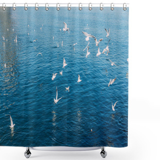 Personality  White Seagulls Flying Over Tranquil Blue Sea, Barcelona, Spain Shower Curtains
