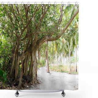 Personality  Path And Trees Shower Curtains