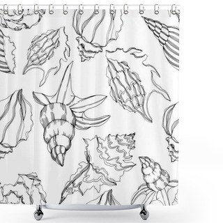 Personality  Vector Summer Beach Seashell Tropical Elements. Black And White Engraved Ink Art. Shower Curtains