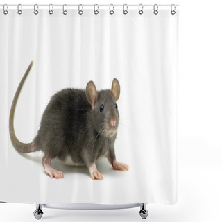 Personality  Funny Rat Shower Curtains
