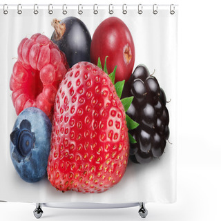 Personality  Collection Of Wild Berries Shower Curtains