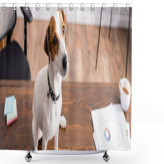 Personality  Horizontal Image Of Jack Russell Terrier Sitting Near Cup Of Coffee And Papers On Office Table  Shower Curtains