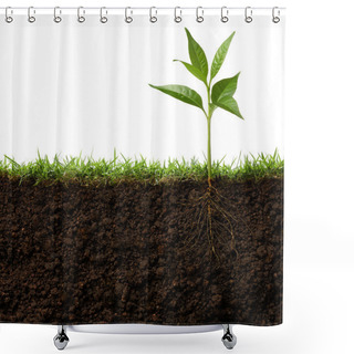 Personality  Plant With Roots Shower Curtains