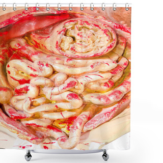 Personality  Intestinal Shower Curtains
