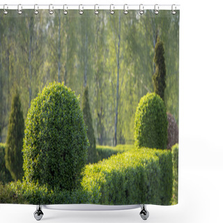 Personality  Wild Privet Ligustrum Hedge Nature Texture A Sample Of Topiary Art Shower Curtains