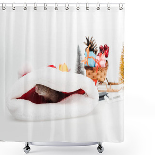 Personality  Selective Focus Of Small Rat In Santa Hat Isolated On White  Shower Curtains