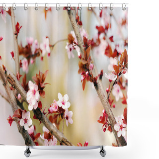 Personality  Cherry Blossom Shower Curtains
