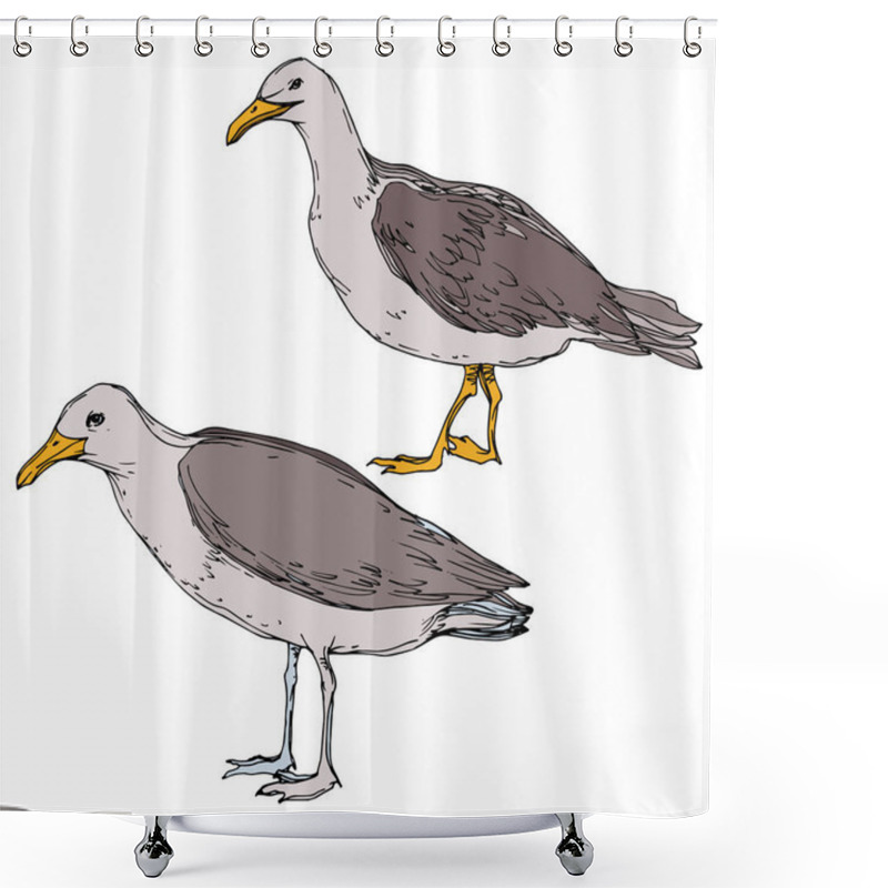 Personality  Vector Sky bird seagull in a wildlife. Black and white engraved ink art. Isolated seagull illustration element. shower curtains
