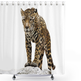 Personality  Leopard On The Rock Shower Curtains